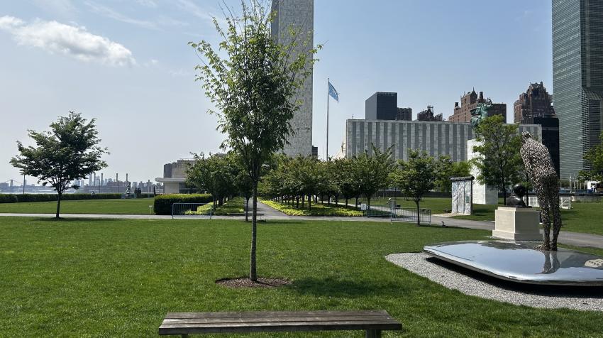 Εικόνα επιλογής