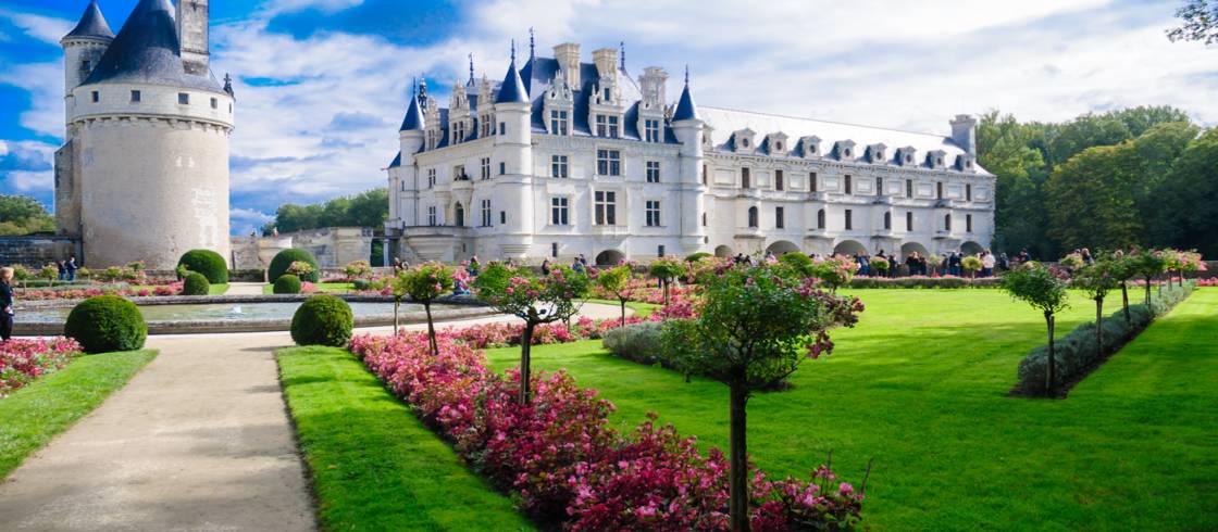 Εικόνα επιλογής