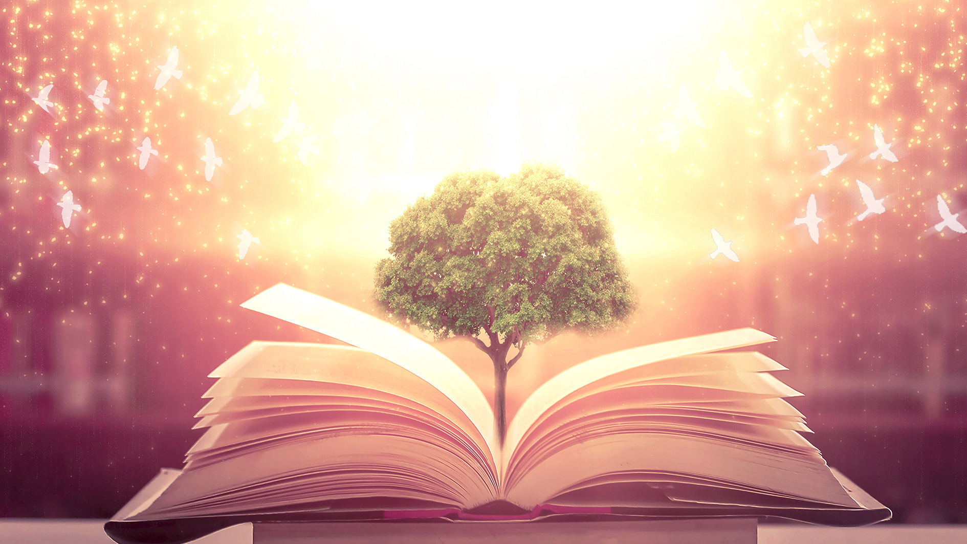 Εικόνα επιλογής