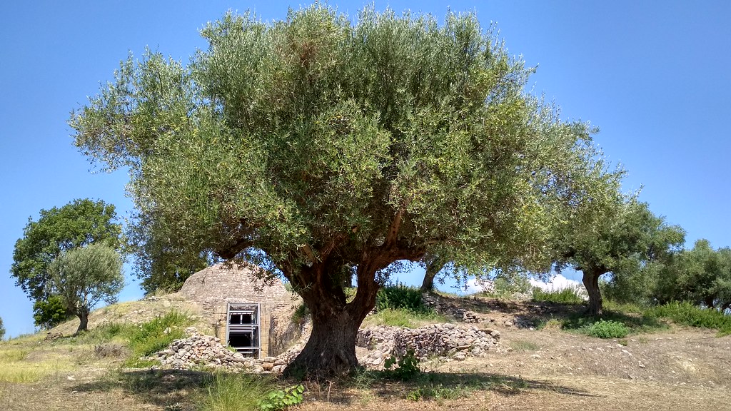 Μάθημα