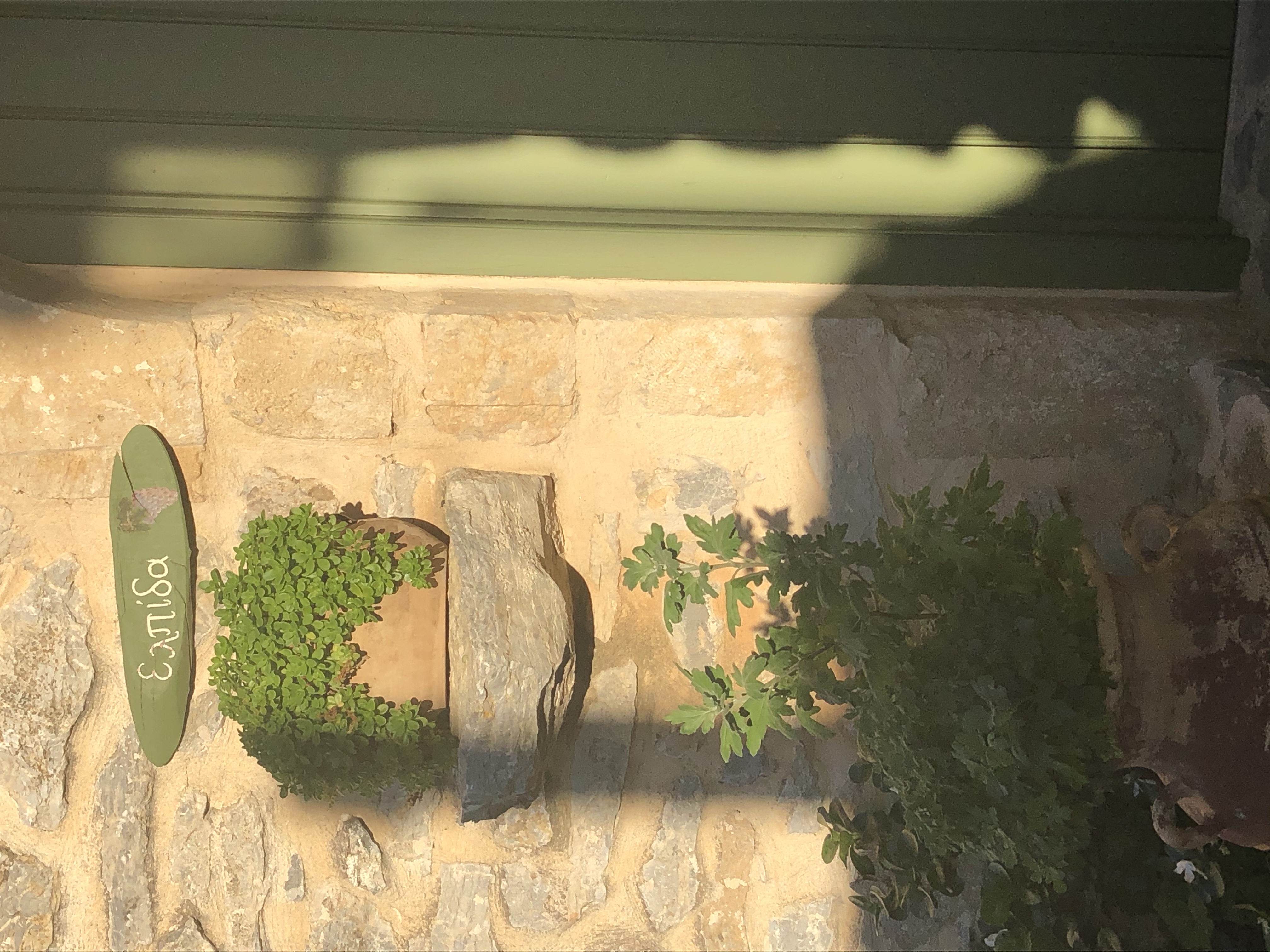 Εικόνα επιλογής