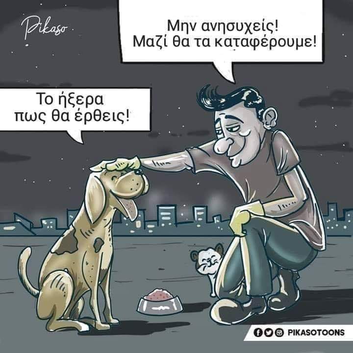 Εικόνα επιλογής
