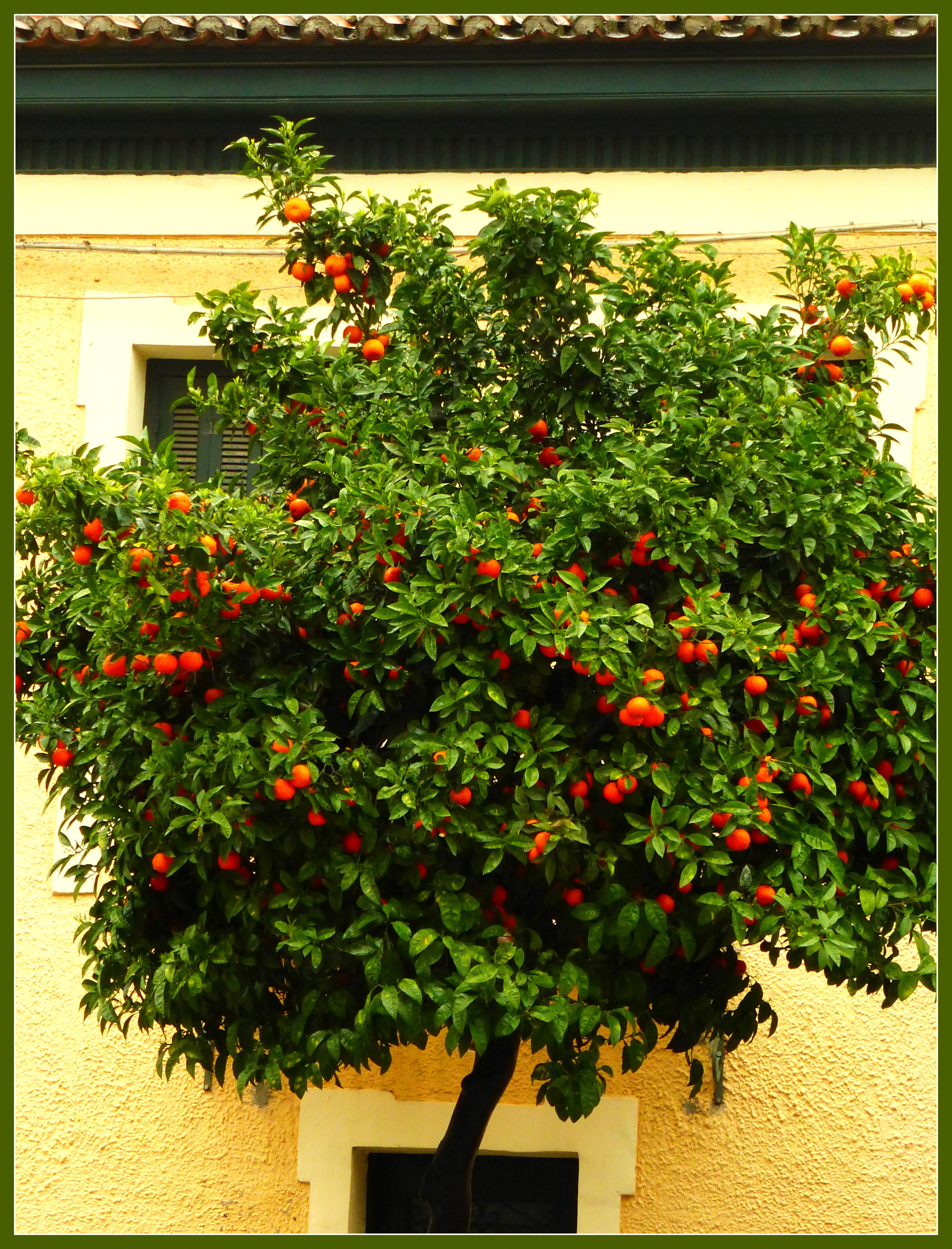 Μάθημα