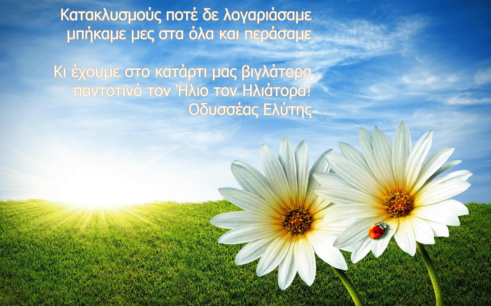 Εικόνα επιλογής