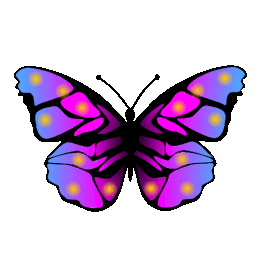 ΠΕΤΑΛΟΥΔΑ ΠΕΤΑ